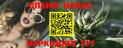мдпв Новозыбков