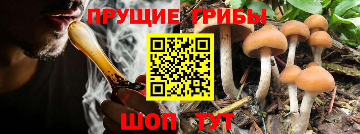 Галлюциногенные грибы мухоморы  Вход с VPN  Старая Купавна  сколько стоит  Псилоцибиновые грибы Cubensis 
