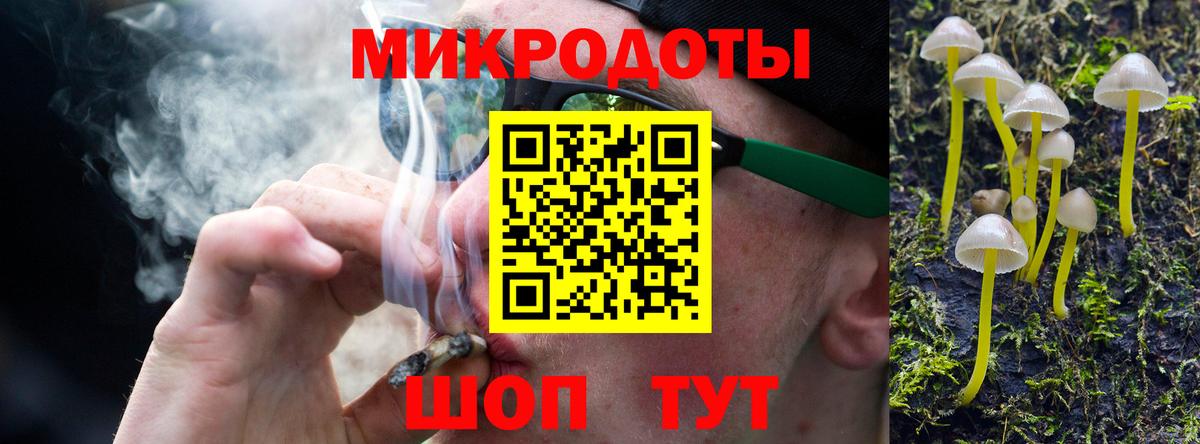 Галлюциногенные грибы Psilocybe Старая Купавна